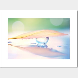 Leaf Water Drop Nature Serene Tranquil Posters and Art